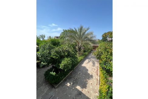 nakhliye16